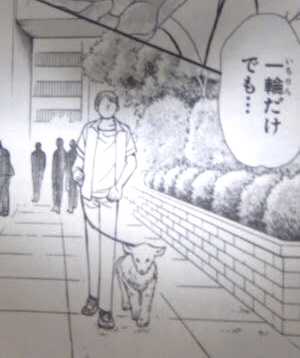 漫画「ガラスの仮面」の完結を諦めきれない