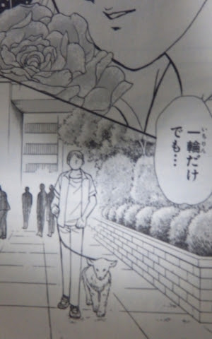 漫画「ガラスの仮面」の完結を諦めきれない