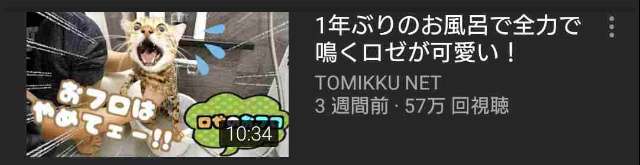【閲覧注意】有名ユーチューバーの料理動画は虐待行為か？