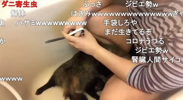 【閲覧注意】有名ユーチューバーの料理動画は虐待行為か？