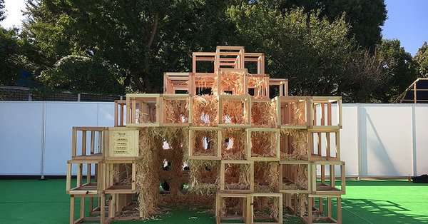 展示作品で5歳焼死、遺族が大学と主催者提訴　神宮外苑