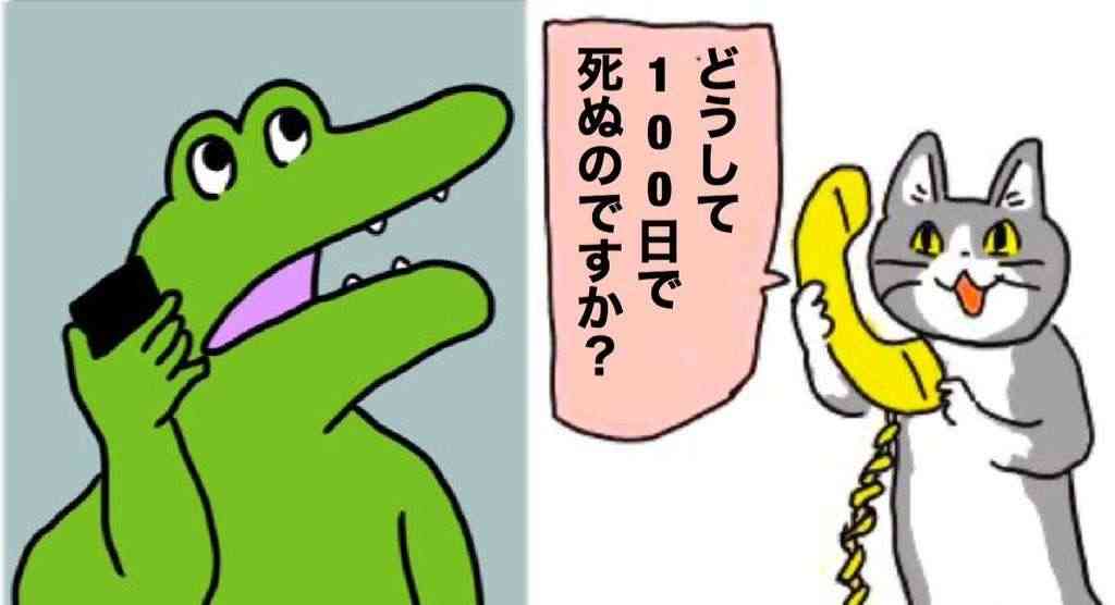 きゃりーぱみゅぱみゅ、100日後に死ぬワニに「結構萎えたなぁ」