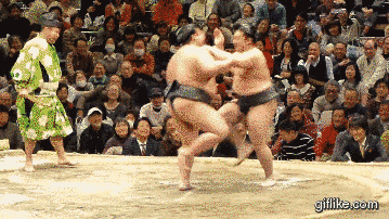 “ストレス発散”な画像ください!のトピ