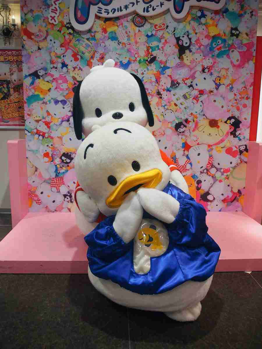 『サンリオキャラクター大賞』、速報トップにシナモロール 2位はポムポムプリン ポチャッコが3位と好発進