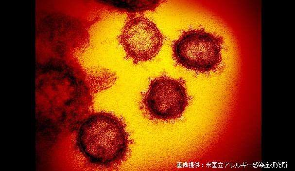 【大河ドラマ】主演希望、俳優&女優