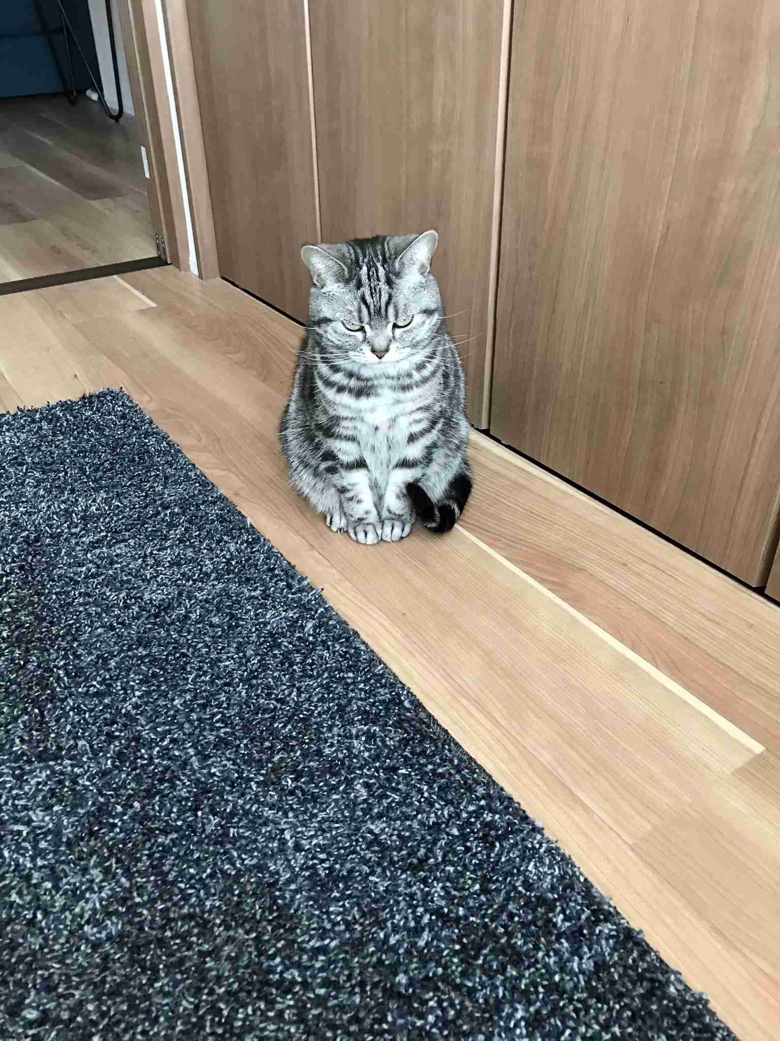 【コロナ】家に居場所がない人【テレワーク】