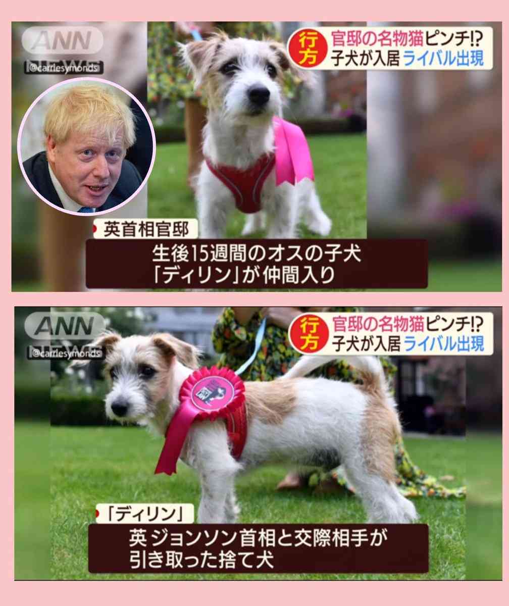 英 ジョンソン首相 集中治療室に 病状悪化 新型コロナウイルス