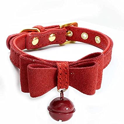 亡くなったペットの遺品はどうしてますか？