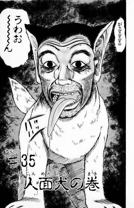 ヒトじゃないよアザラシだよ　鳥羽水族館、愛称を配信へ