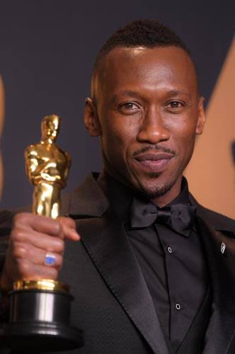 ヒトじゃないよアザラシだよ　鳥羽水族館、愛称を配信へ