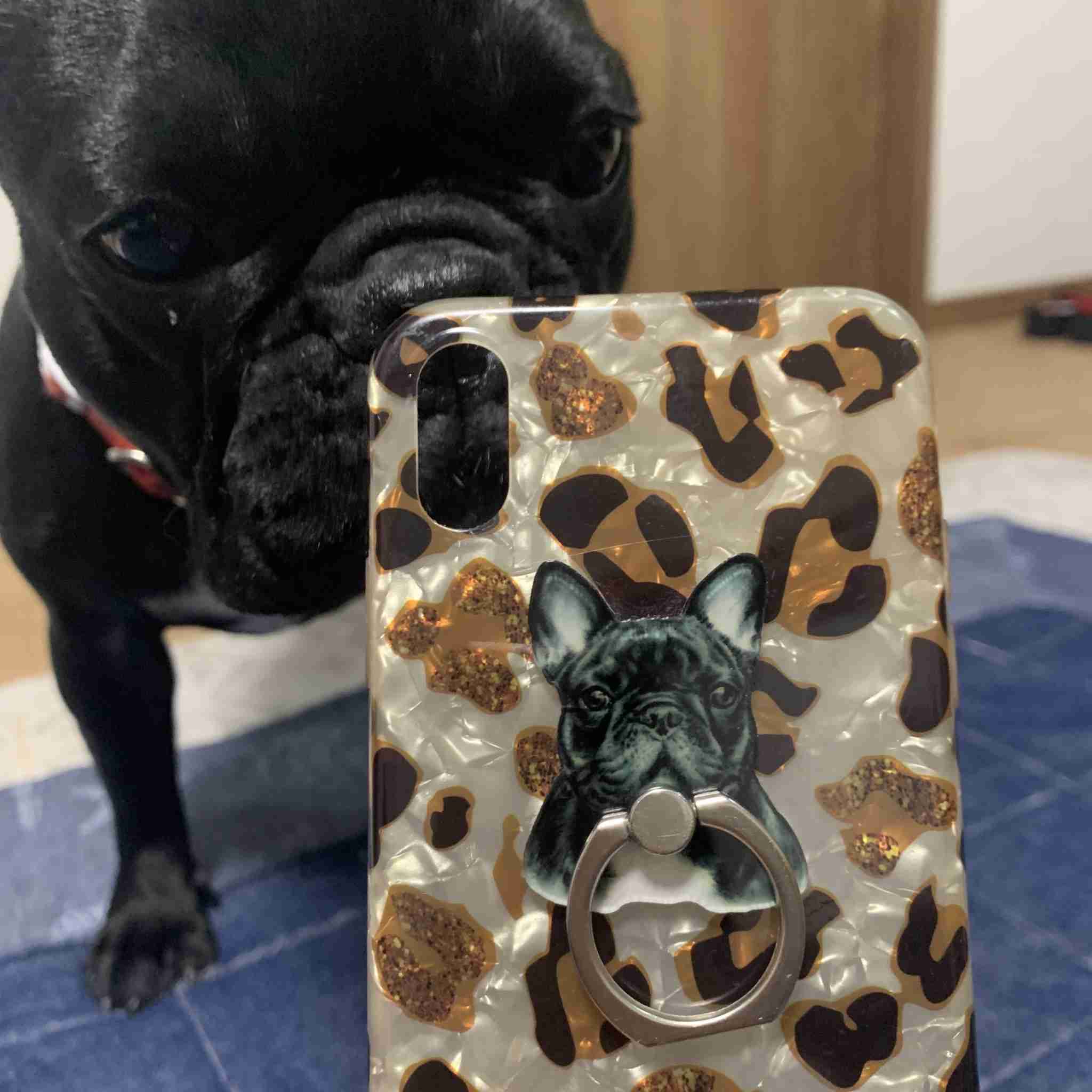 お洒落なスマホカバーがみたい🦉