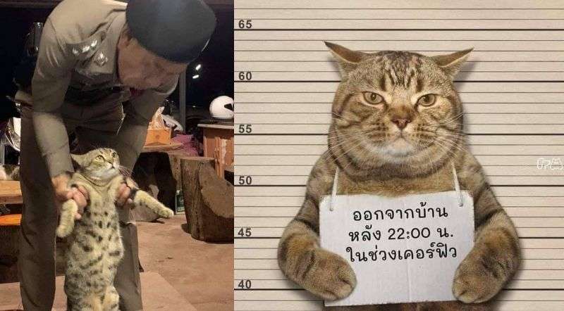 【実況】激録☆警察密着24時