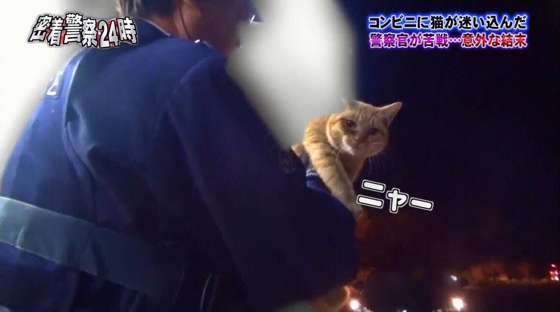 【実況】激録☆警察密着24時