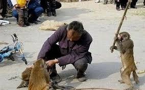 【閲覧注意】不安になりそうな画像を貼ってしまうトピ