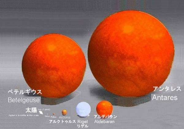 【閲覧注意】不安になりそうな画像を貼ってしまうトピ