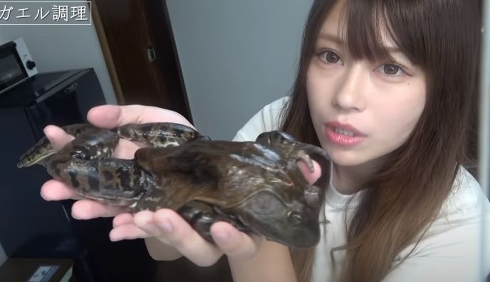 女性ユーチューバーを語ろうpart5