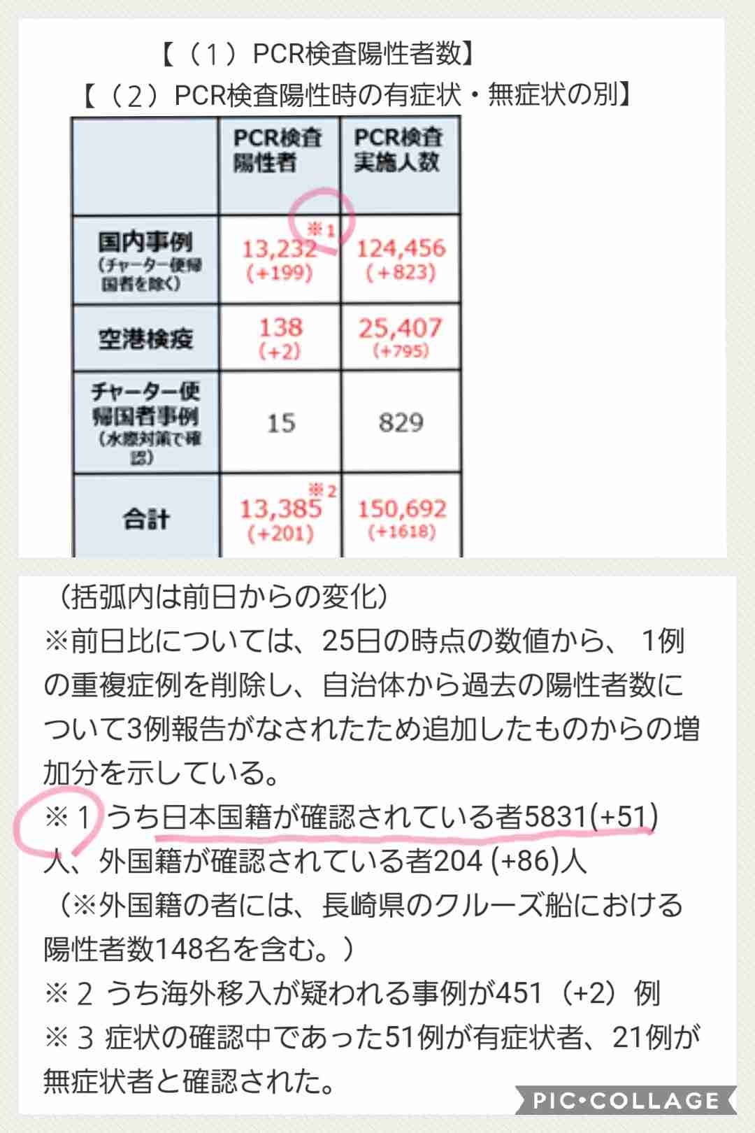 長崎停泊クルーズ船クラスター 責任の所在あいまい 会見、運航会社は不在