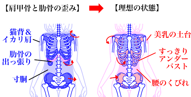 どうしてもくびれない ガールズちゃんねる Girls Channel