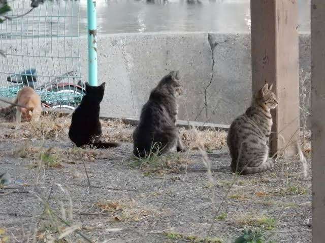 【ソーシャルディスタンス】な画像