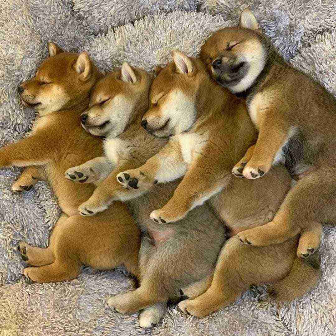 【ソーシャルディスタンス】な画像