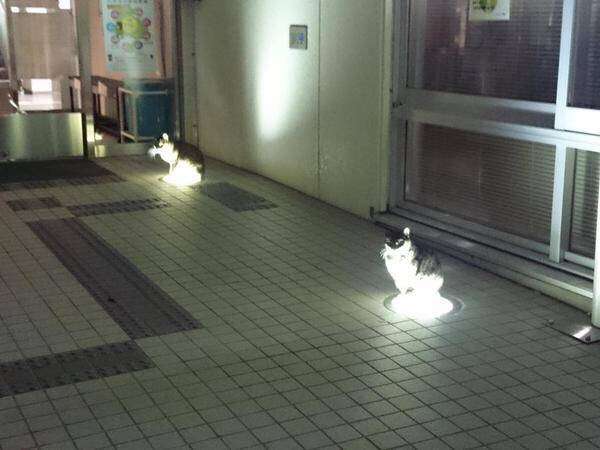 【ソーシャルディスタンス】な画像