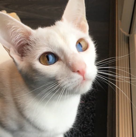 ガルちゃんでこの画像持ってるのはわたしだけ！選手権part3