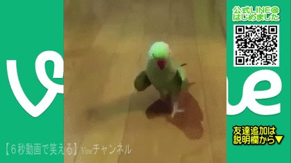 ガルちゃんでこの画像持ってるのはわたしだけ！選手権part3