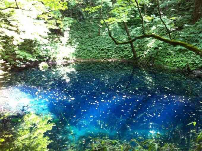 爽快な気分になる画像