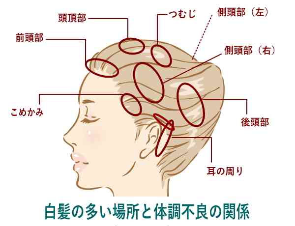 30代前半(30〜34歳)が集まるトピ