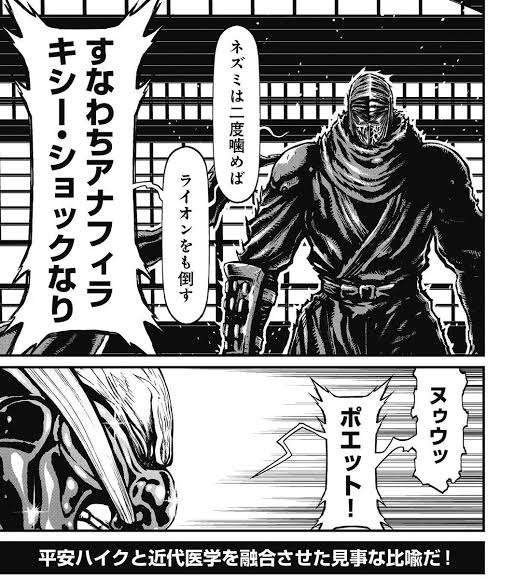 忍者大好き。