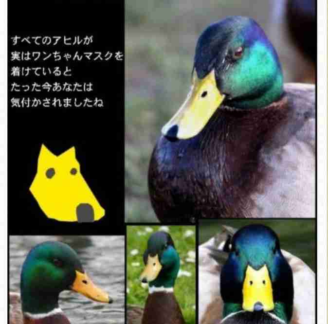 【4月】意識低い系トピ