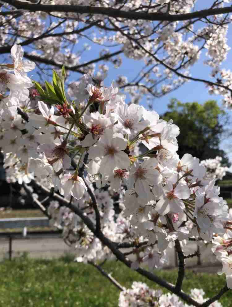 【4月】意識低い系トピ