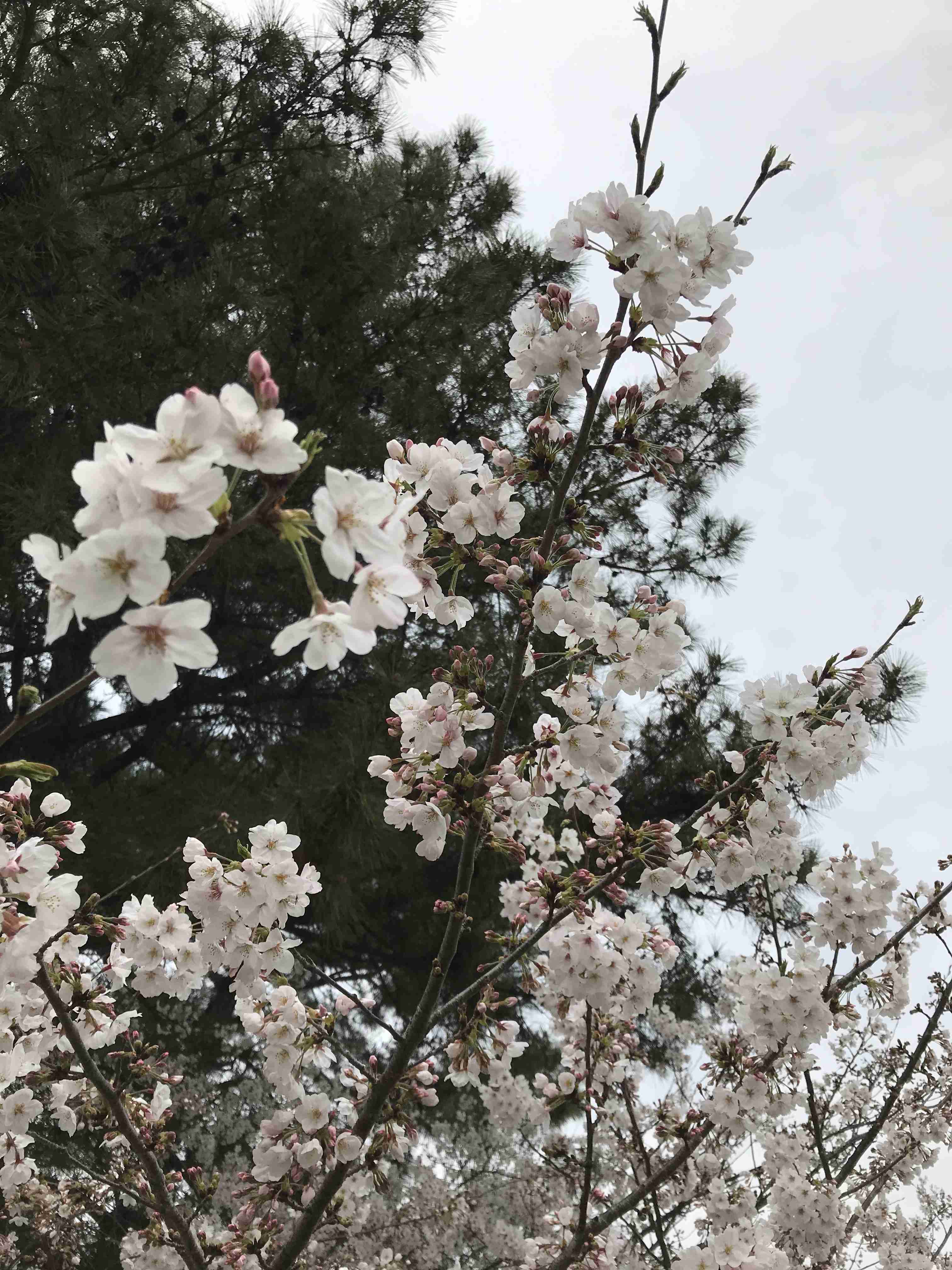 【4月】意識低い系トピ