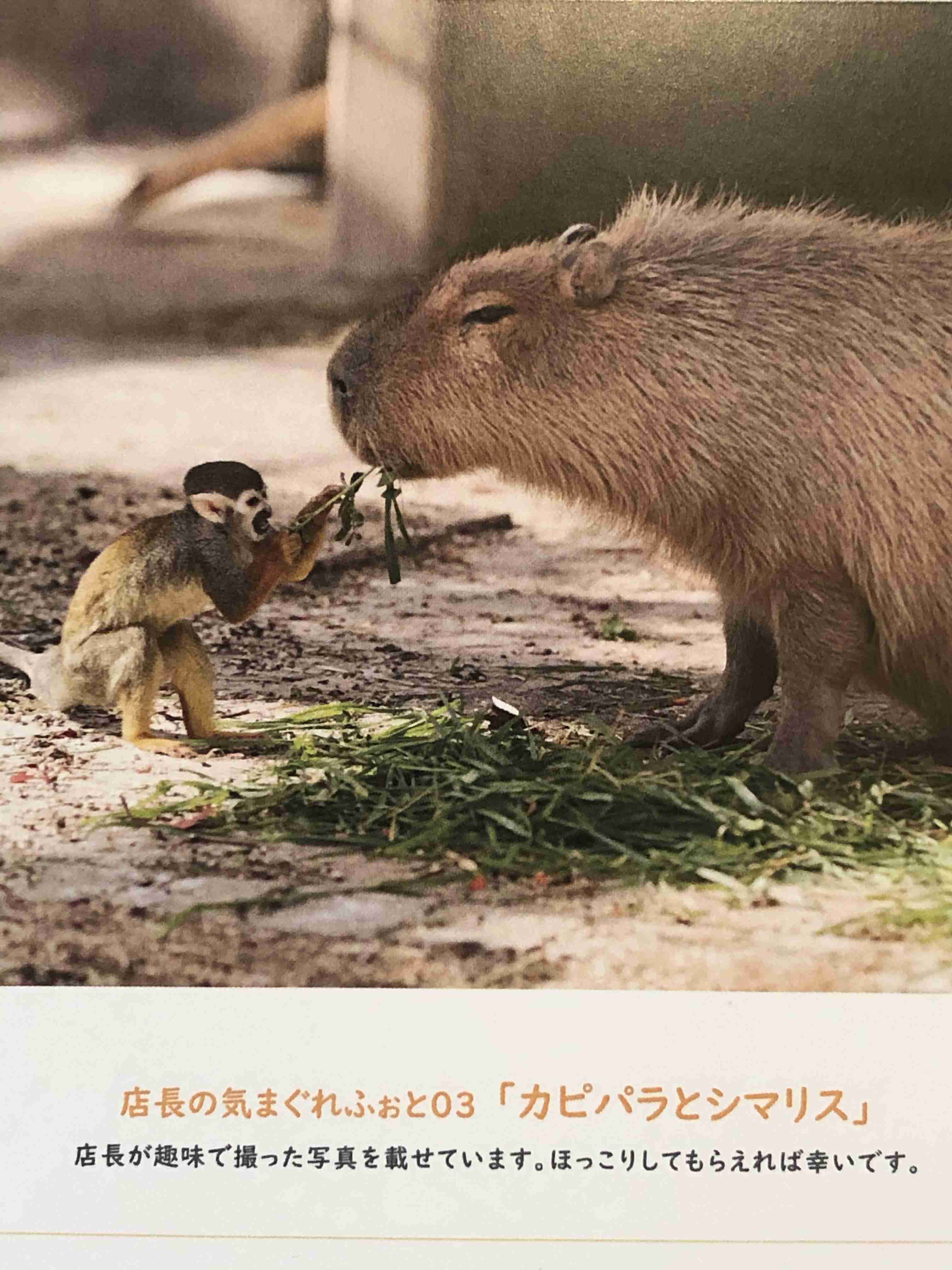 【4月】意識低い系トピ