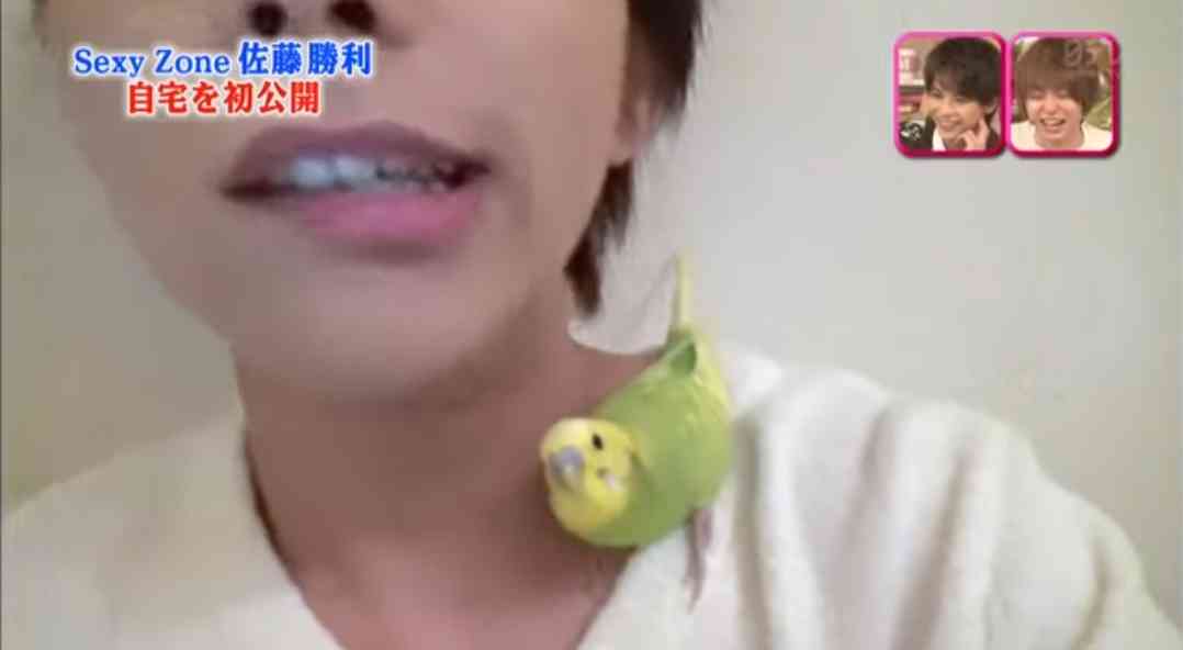紙媒体ってまだまだ必要ですか?