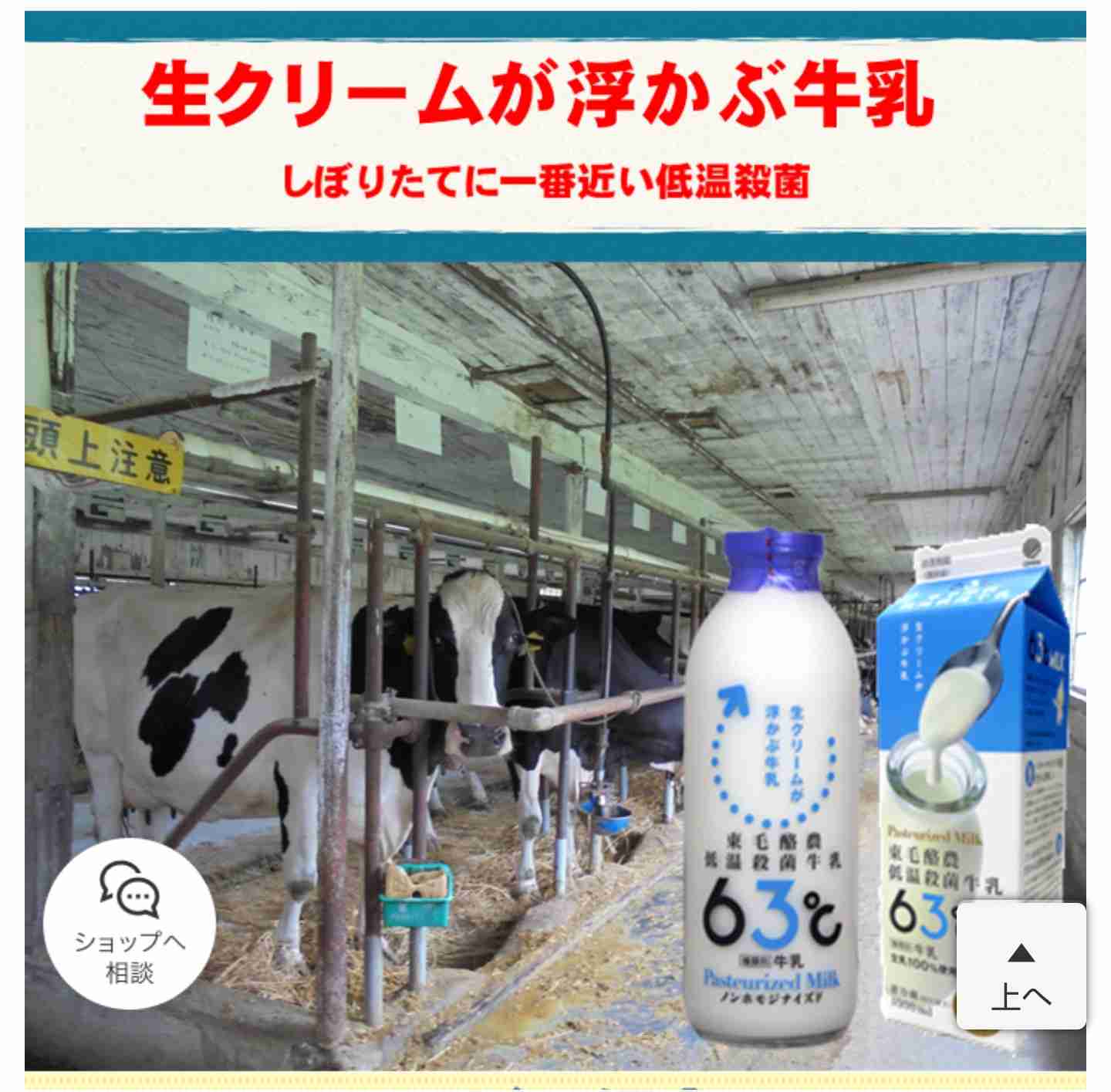 知る人ぞ知るおすすめの食べ物を紹介