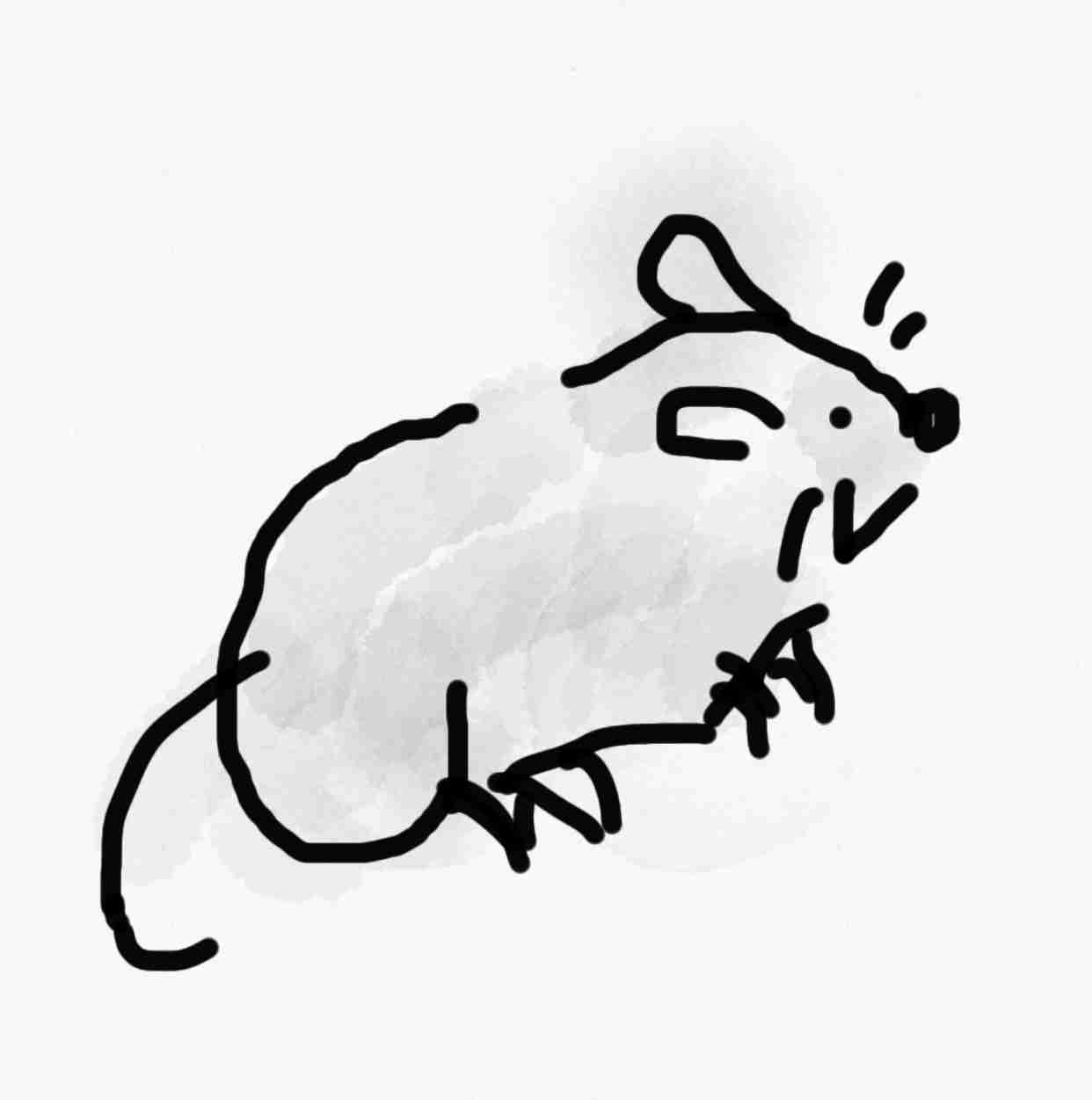 何も見ずに自分の干支を描いてみよう〜【お絵描き】