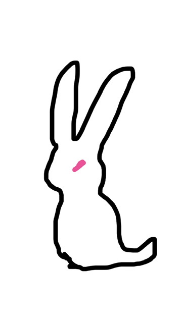 何も見ずに自分の干支を描いてみよう〜【お絵描き】