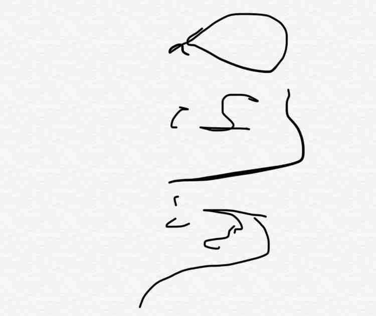 何も見ずに自分の干支を描いてみよう〜【お絵描き】