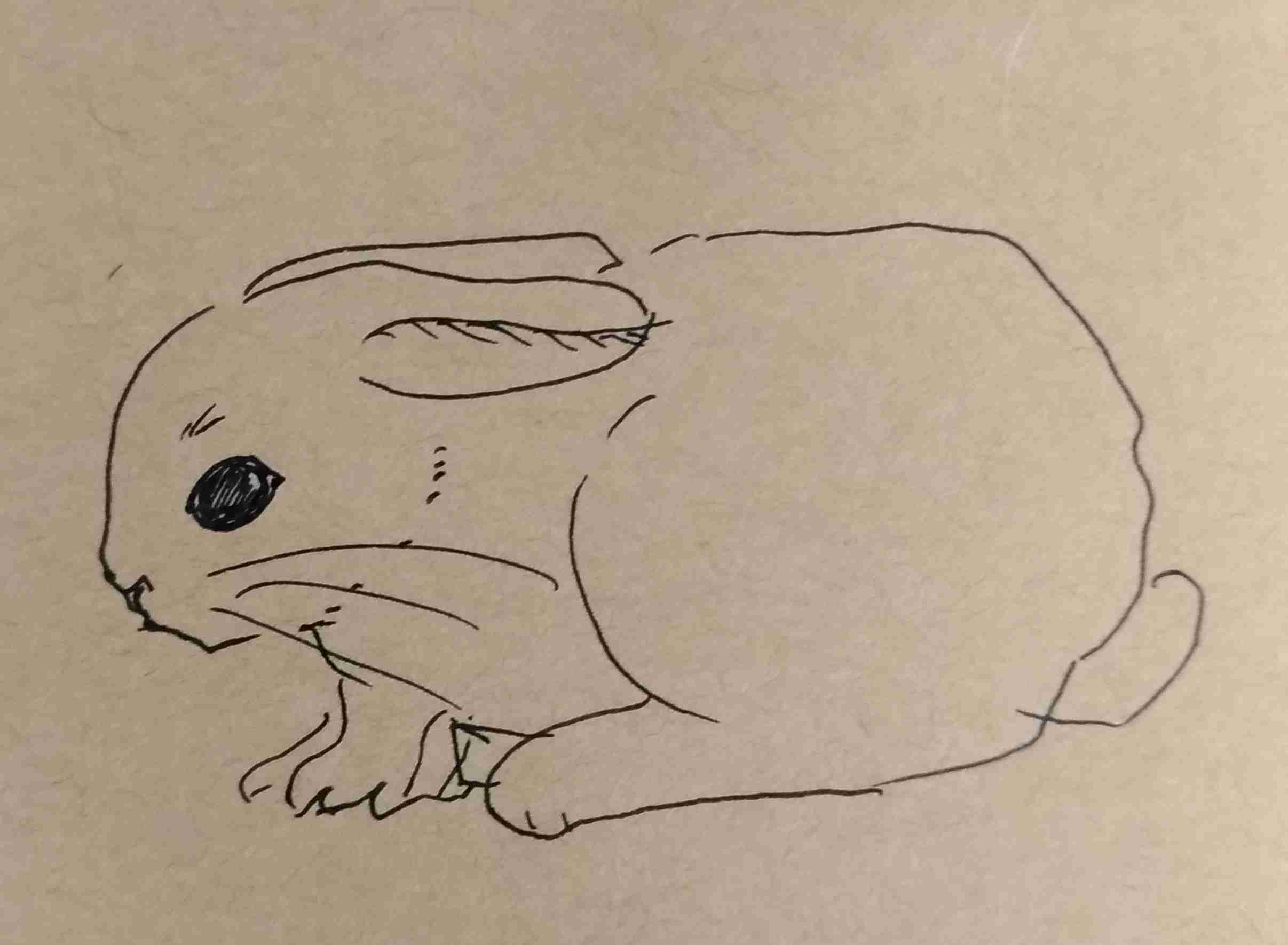 何も見ずに自分の干支を描いてみよう〜【お絵描き】