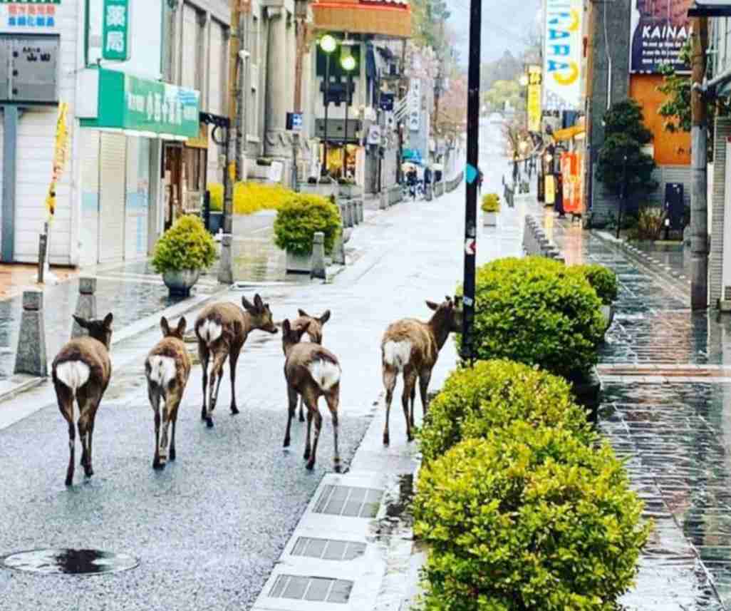 【外出自粛】見た目に変化が出た人