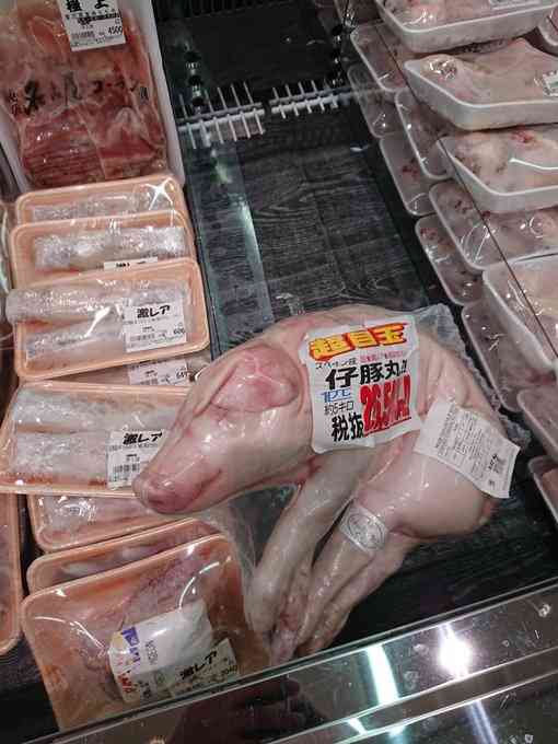 【閲覧注意】自分的に食べられそうなゲテモノ、食べられなさそうなゲテモノ