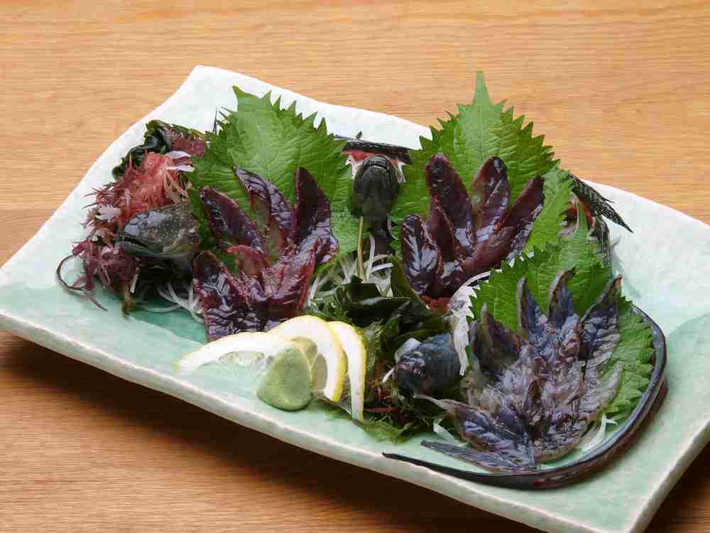 【閲覧注意】自分的に食べられそうなゲテモノ、食べられなさそうなゲテモノ