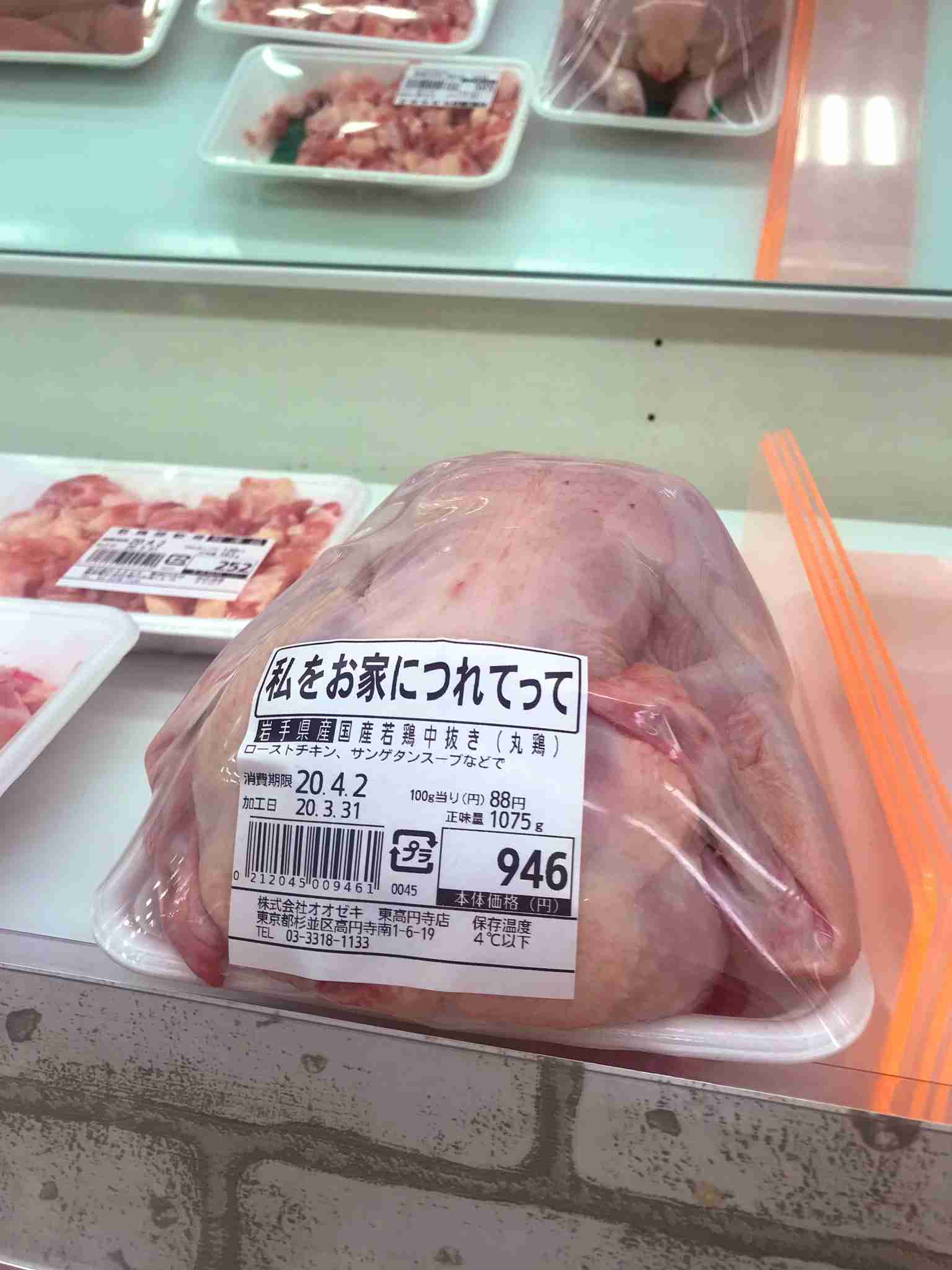 【閲覧注意】自分的に食べられそうなゲテモノ、食べられなさそうなゲテモノ