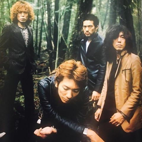 20年以上一途に好きな芸能人(ジャンルは問わず)はいますか?