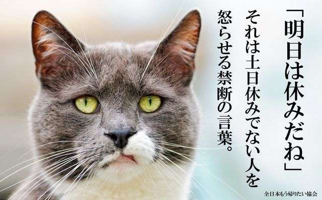 ヤンキーな動物の画像やGIFが集まるトピ