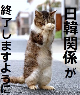 JYJジェジュン「エープリルフールの冗談」　新型コロナウイルス感染事実なし