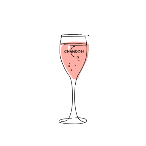 【食べ物】リモート飲み会するなら何を用意する？