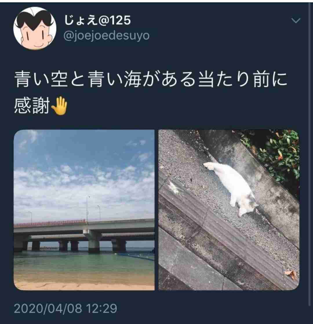 NGT48裁判が和解決着 数百万円と謝罪文提出…他メンバーの関与なしも認める