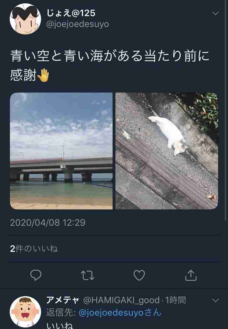 NGT48裁判が和解決着 数百万円と謝罪文提出…他メンバーの関与なしも認める